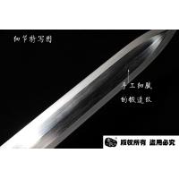 祥龙八面汉剑-查长伟作品