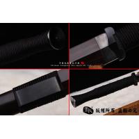 极致铁装八面汉剑--最具特色和历史版