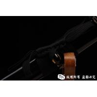 武藏