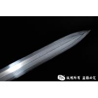 陨铁剑 查长伟作品