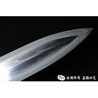 紫电之剑  查长伟作品