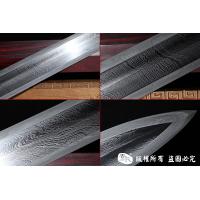 紫电之剑  查长伟作品