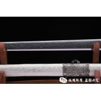 陨铁承影剑 查长伟作品