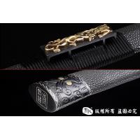 天铁智慧之剑 查长伟作品