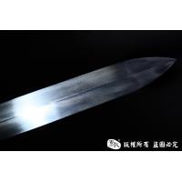 龙装乾坤剑 查长伟作品