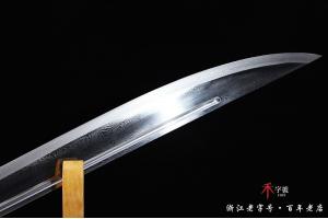 天降雄狮-精工版